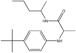 2-[(4-tert-butylphenyl)amino]-N-(pentan-2-yl)propanamide,,结构式