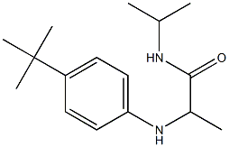 2-[(4-tert-butylphenyl)amino]-N-(propan-2-yl)propanamide 化学構造式