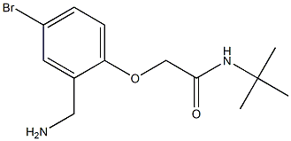 2-[2-(aminomethyl)-4-bromophenoxy]-N-tert-butylacetamide