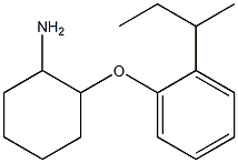 2-[2-(butan-2-yl)phenoxy]cyclohexan-1-amine