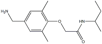 2-[4-(aminomethyl)-2,6-dimethylphenoxy]-N-(butan-2-yl)acetamide,,结构式