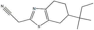2-[6-(2-methylbutan-2-yl)-4,5,6,7-tetrahydro-1,3-benzothiazol-2-yl]acetonitrile Struktur