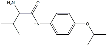 2-amino-3-methyl-N-[4-(propan-2-yloxy)phenyl]butanamide