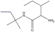 2-amino-N-(1,1-dimethylpropyl)-3-methylpentanamide Structure