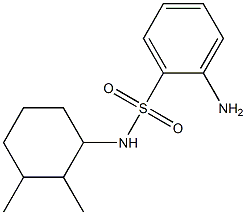 2-amino-N-(2,3-dimethylcyclohexyl)benzenesulfonamide 化学構造式