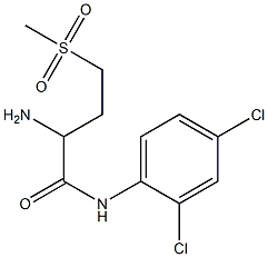 2-amino-N-(2,4-dichlorophenyl)-4-methanesulfonylbutanamide