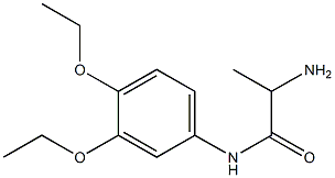 2-amino-N-(3,4-diethoxyphenyl)propanamide