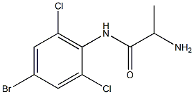 2-amino-N-(4-bromo-2,6-dichlorophenyl)propanamide,,结构式