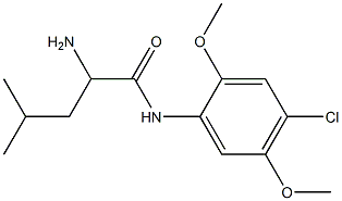  化学構造式