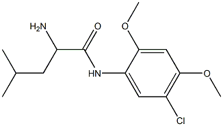 2-amino-N-(5-chloro-2,4-dimethoxyphenyl)-4-methylpentanamide