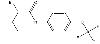 2-bromo-3-methyl-N-[4-(trifluoromethoxy)phenyl]butanamide