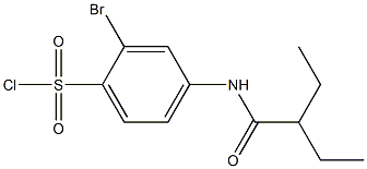 2-bromo-4-(2-ethylbutanamido)benzene-1-sulfonyl chloride Structure