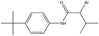 2-bromo-N-(4-tert-butylphenyl)-3-methylbutanamide 化学構造式