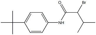 2-bromo-N-(4-tert-butylphenyl)-3-methylbutanamide Structure