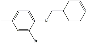 2-bromo-N-(cyclohex-3-en-1-ylmethyl)-4-methylaniline Struktur