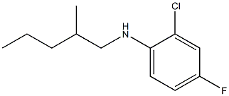 2-chloro-4-fluoro-N-(2-methylpentyl)aniline