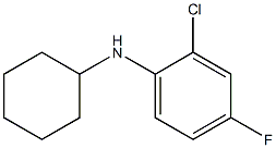 2-chloro-N-cyclohexyl-4-fluoroaniline 化学構造式