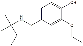 2-ethoxy-4-{[(2-methylbutan-2-yl)amino]methyl}phenol 结构式