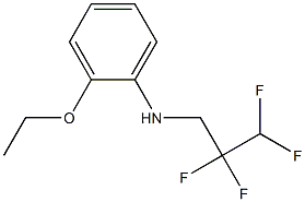 2-ethoxy-N-(2,2,3,3-tetrafluoropropyl)aniline 化学構造式