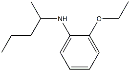 2-ethoxy-N-(pentan-2-yl)aniline 化学構造式