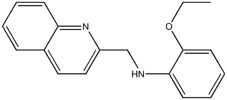 2-ethoxy-N-(quinolin-2-ylmethyl)aniline 结构式
