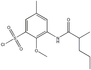 2-methoxy-5-methyl-3-(2-methylpentanamido)benzene-1-sulfonyl chloride Structure