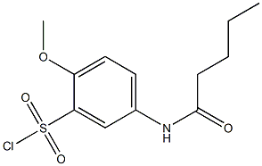 2-methoxy-5-pentanamidobenzene-1-sulfonyl chloride Structure