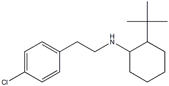 2-tert-butyl-N-[2-(4-chlorophenyl)ethyl]cyclohexan-1-amine,,结构式