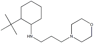 2-tert-butyl-N-[3-(morpholin-4-yl)propyl]cyclohexan-1-amine,,结构式