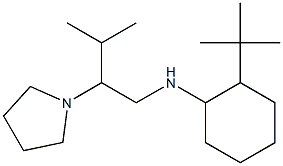 2-tert-butyl-N-[3-methyl-2-(pyrrolidin-1-yl)butyl]cyclohexan-1-amine 化学構造式