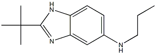 2-tert-butyl-N-propyl-1H-1,3-benzodiazol-5-amine Struktur