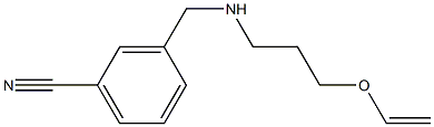 3-({[3-(ethenyloxy)propyl]amino}methyl)benzonitrile Structure