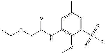3-(2-ethoxyacetamido)-2-methoxy-5-methylbenzene-1-sulfonyl chloride 化学構造式