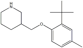  3-(2-tert-butyl-4-methylphenoxymethyl)piperidine