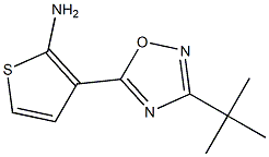 3-(3-tert-butyl-1,2,4-oxadiazol-5-yl)thiophen-2-amine,,结构式