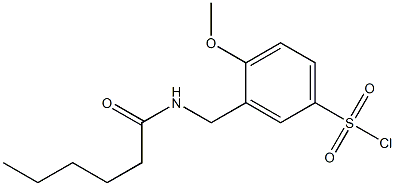 3-(hexanamidomethyl)-4-methoxybenzene-1-sulfonyl chloride Structure