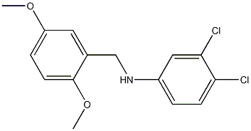 3,4-dichloro-N-[(2,5-dimethoxyphenyl)methyl]aniline Structure