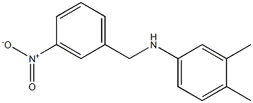 3,4-dimethyl-N-[(3-nitrophenyl)methyl]aniline,,结构式