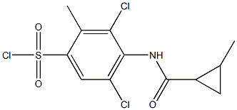 3,5-dichloro-2-methyl-4-[(2-methylcyclopropane)amido]benzene-1-sulfonyl chloride Structure
