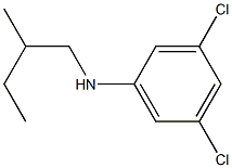 3,5-dichloro-N-(2-methylbutyl)aniline Structure