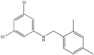 3,5-dichloro-N-[(2,4-dimethylphenyl)methyl]aniline,,结构式