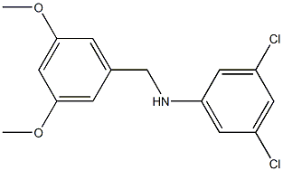 3,5-dichloro-N-[(3,5-dimethoxyphenyl)methyl]aniline Structure