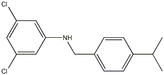 3,5-dichloro-N-{[4-(propan-2-yl)phenyl]methyl}aniline 化学構造式