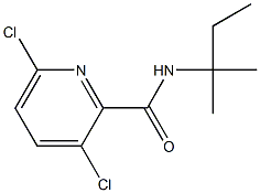 3,6-dichloro-N-(2-methylbutan-2-yl)pyridine-2-carboxamide