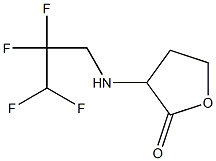 3-[(2,2,3,3-tetrafluoropropyl)amino]oxolan-2-one Structure