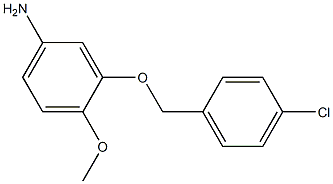 3-[(4-chlorobenzyl)oxy]-4-methoxyaniline 化学構造式