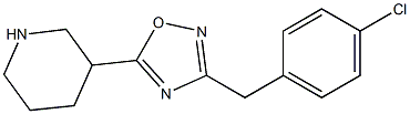 3-[(4-chlorophenyl)methyl]-5-(piperidin-3-yl)-1,2,4-oxadiazole Structure