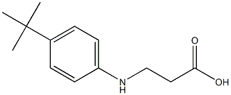 3-[(4-tert-butylphenyl)amino]propanoic acid Struktur