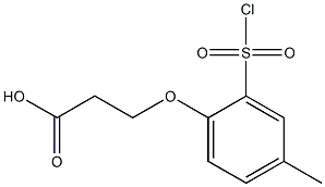 3-[2-(chlorosulfonyl)-4-methylphenoxy]propanoic acid 结构式