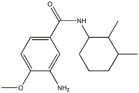 3-amino-N-(2,3-dimethylcyclohexyl)-4-methoxybenzamide 化学構造式